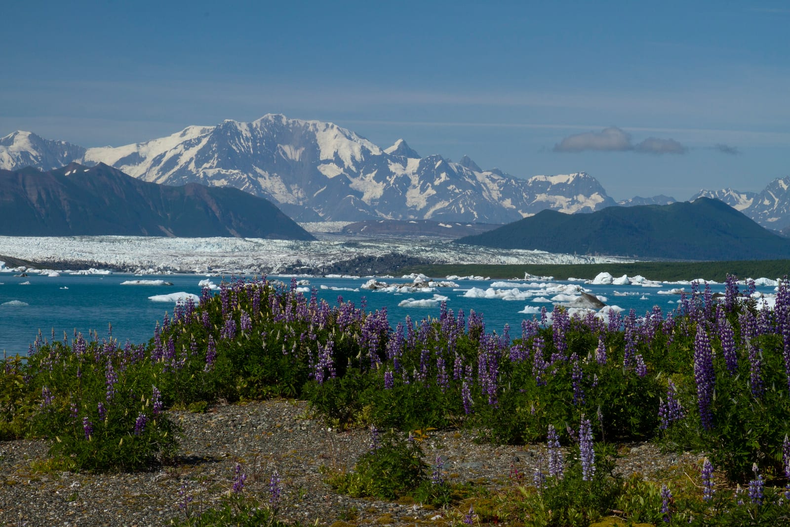 Yakutat, Alaska