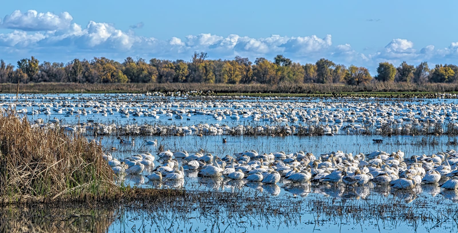 Colusa County, California