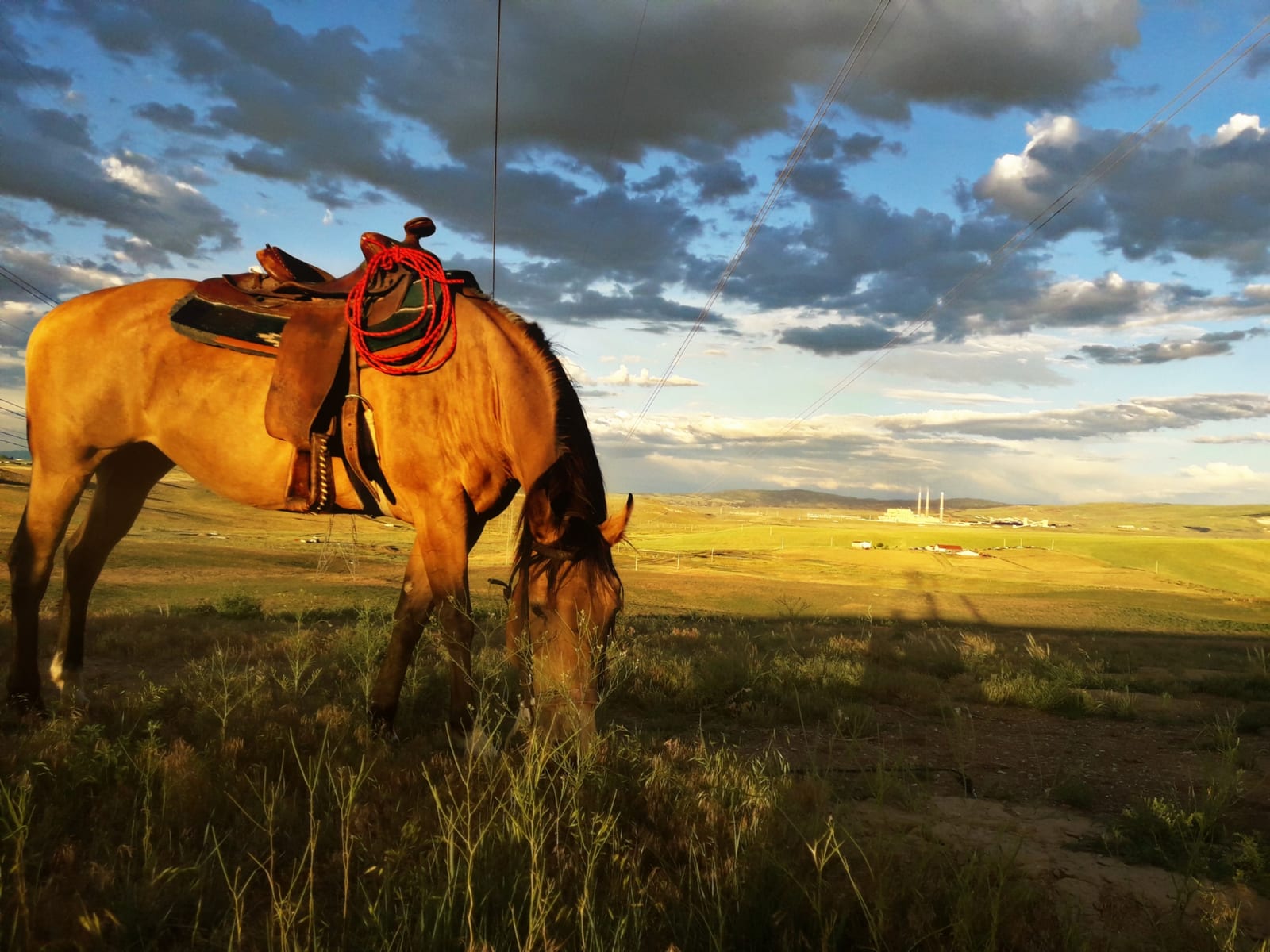 Moffat County, Colorado